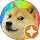 Keyboard Doge profile picture